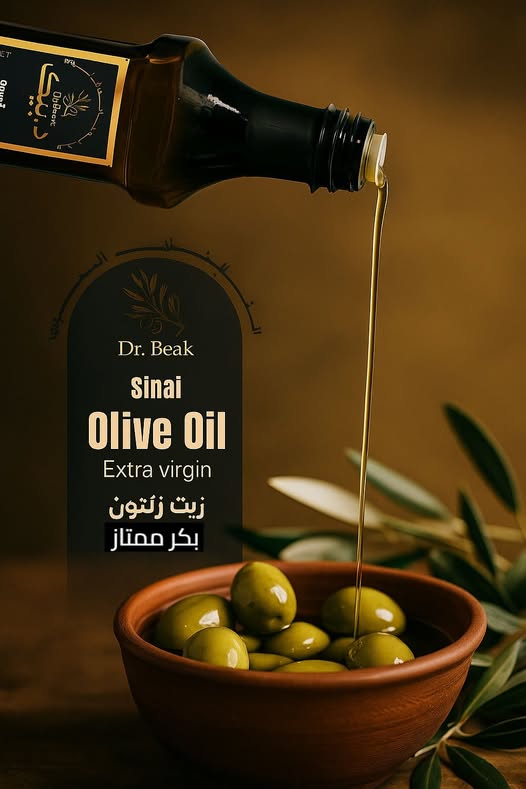 523935672 1164209829059993 7525173408528555597 n