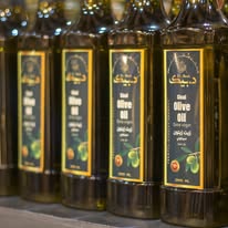 568516527 1241704391310536 2464467957219119303 n