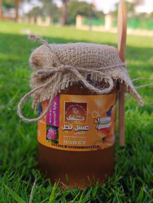 عسل نحل نوارة البرسيم
